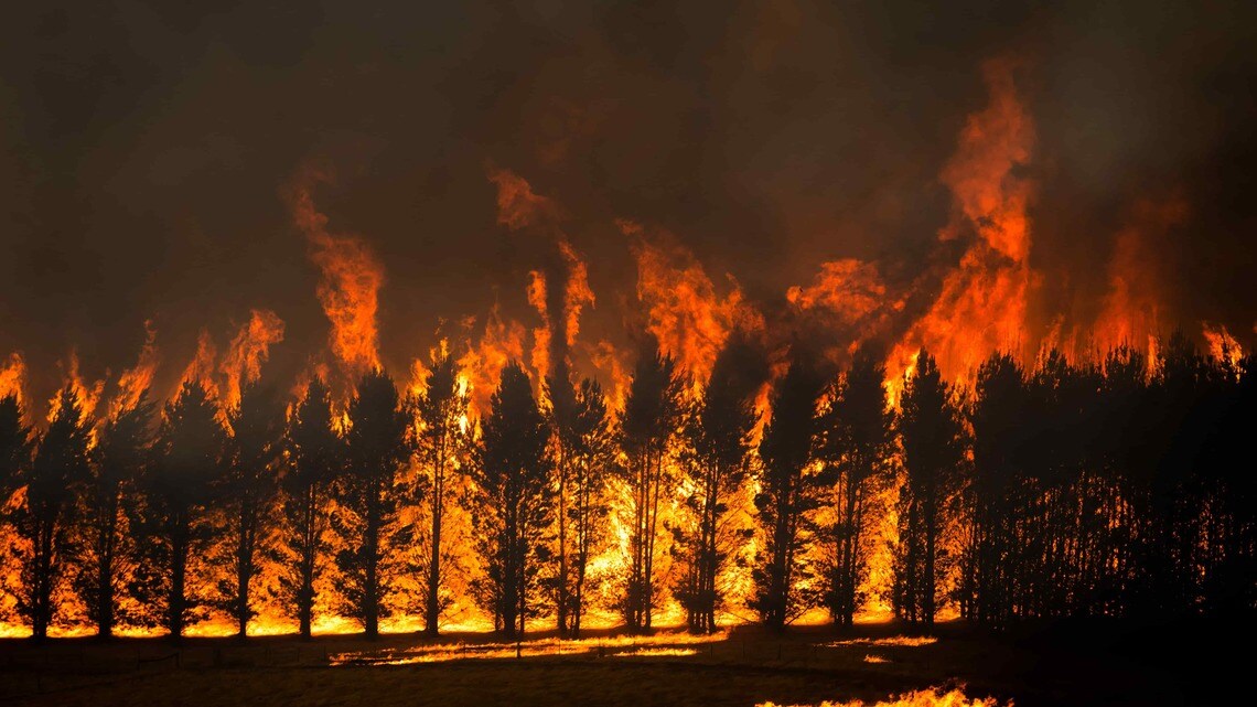 「オーストラリア 火災」の画像検索結果