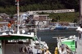 漁港をかすめて走る日南線の列車（撮影：南正時）