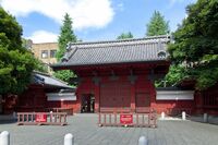 東大の外国人学生が悩む｢日本で就職｣のカベ ｢日本企業で自分はリーダーになれるの？｣