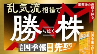 「乱気流相場で勝ち抜く株」特集バナー
