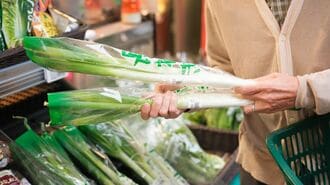 物価高に対して公的年金ができることは何か？