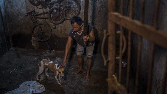犬肉 の消費が急増するインドネシアの衝撃 The New York Times 東洋経済オンライン 社会をよくする経済ニュース