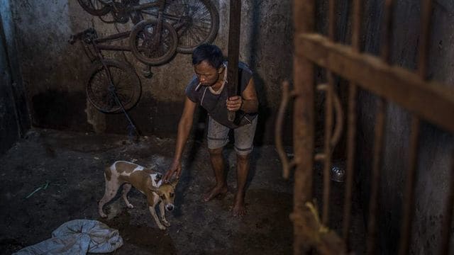 世界が激怒 中国 犬肉祭り の酷すぎる現実 ニューズウィーク日本版 東洋経済オンライン 経済ニュースの新基準