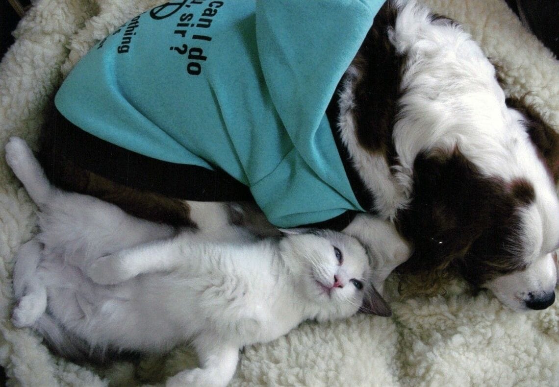 （筆者撮影／2005～2006年頃に撮影）