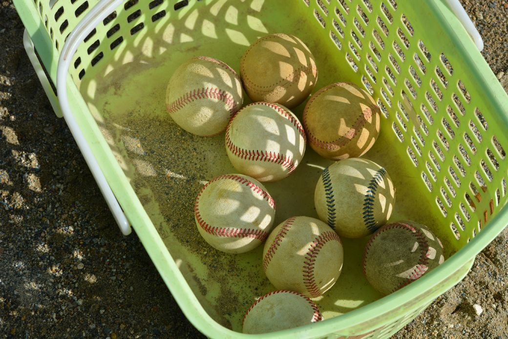 ※写真はイメージです（筆者撮影）