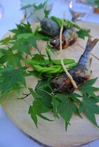 野生の供え物