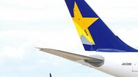 共同運航交渉が大詰め SKYの視界は良好か 航空