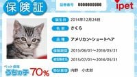 まだまだ発展途上のペット保険､どう選ぶ？ 大手の商品でも内容や保険料が頻繁に変わる