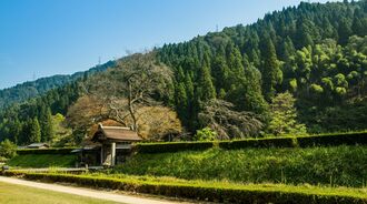 一乗谷朝倉氏遺跡