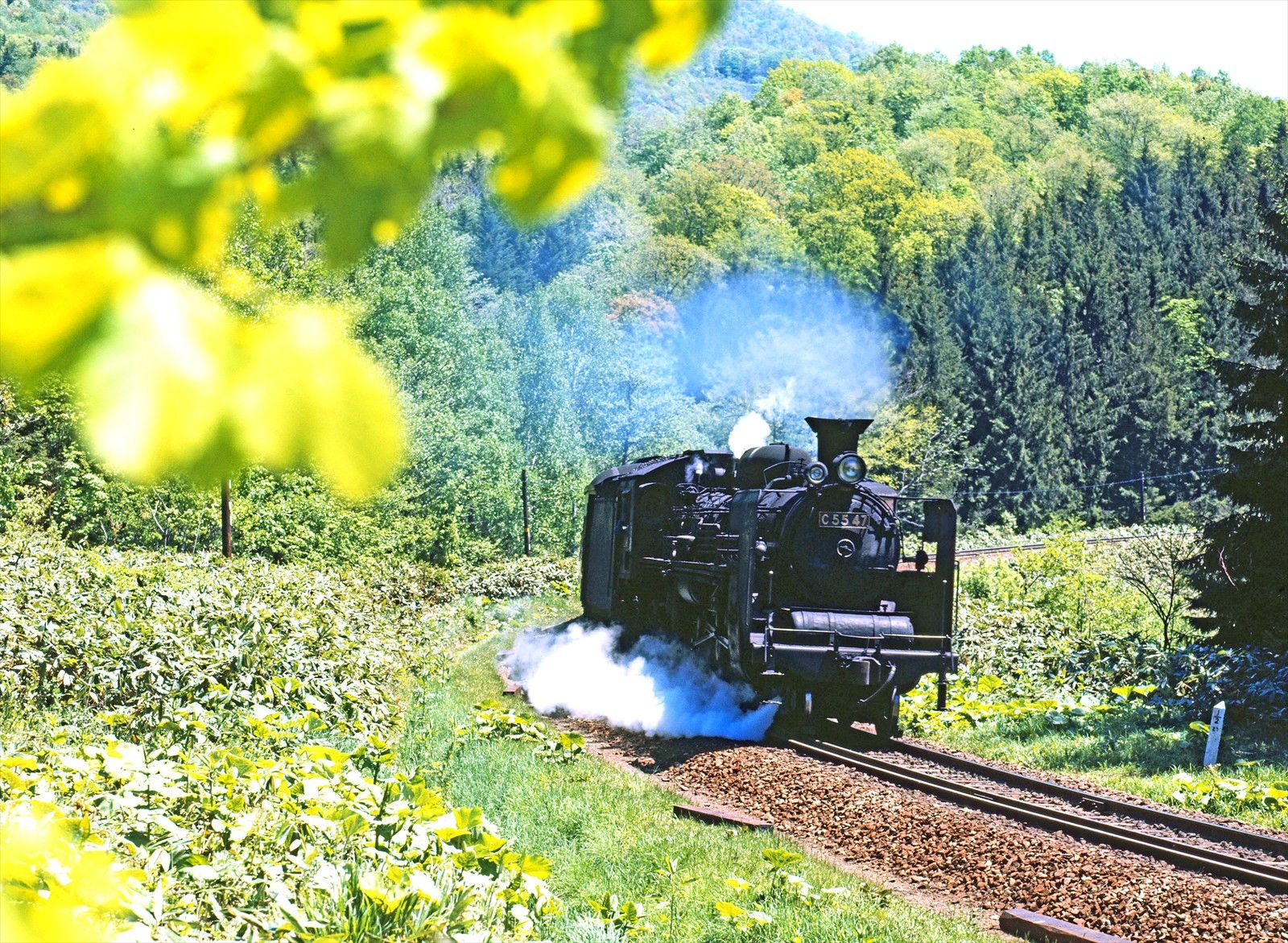 画像 | ｢最果ての鉄道｣宗谷本線､蒸気機関車時代の記憶 旭川から稚内を