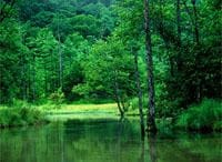 《MRI環境講座》第2回　企業にとっての“環境問題”