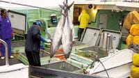 マグロ漁船 過酷な漁を｢遊び｣にする！ 超ストレス職場に学ぶ2