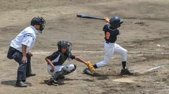 ｢野球少年｣減少に映るプロ存続の危うい未来