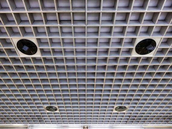 表玄関の天井部