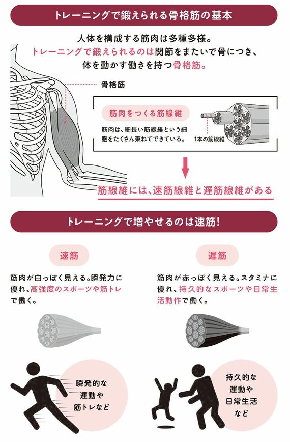 眠れなくなるほど面白い 図解 筋肉の話: 筋肉のギモンを専門家が解説!