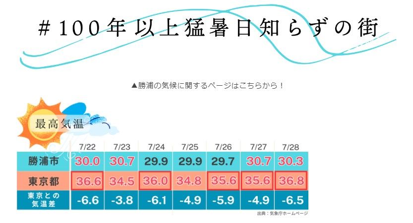 （出所）千葉県勝浦市移住・定住ポータルサイト