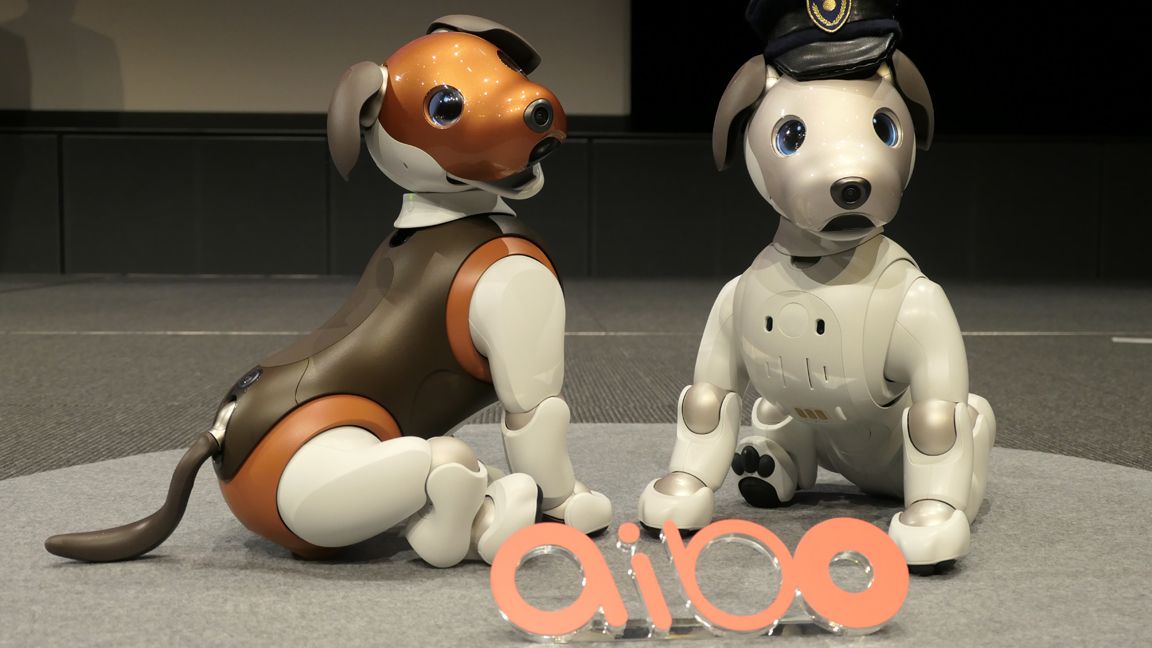 ソニー､2年目のアイボで挑戦する｢新領域｣ セコムと連携した遊び感覚の