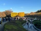 国営昭和記念公園