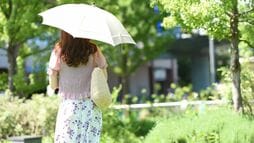 酷暑の夏にあえて｢京都旅行｣を勧める意外な理由 ｢暑くない地域｣に行くこともひとつの手だが…
