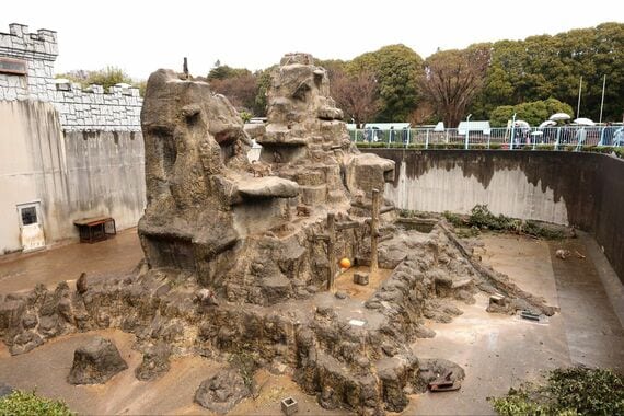 市川市動植物園 サル山