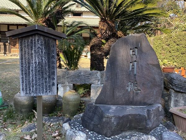 新線開通で沸く｢綱島｣かつては温泉も湧いた街  東横線をゆく、大人の 