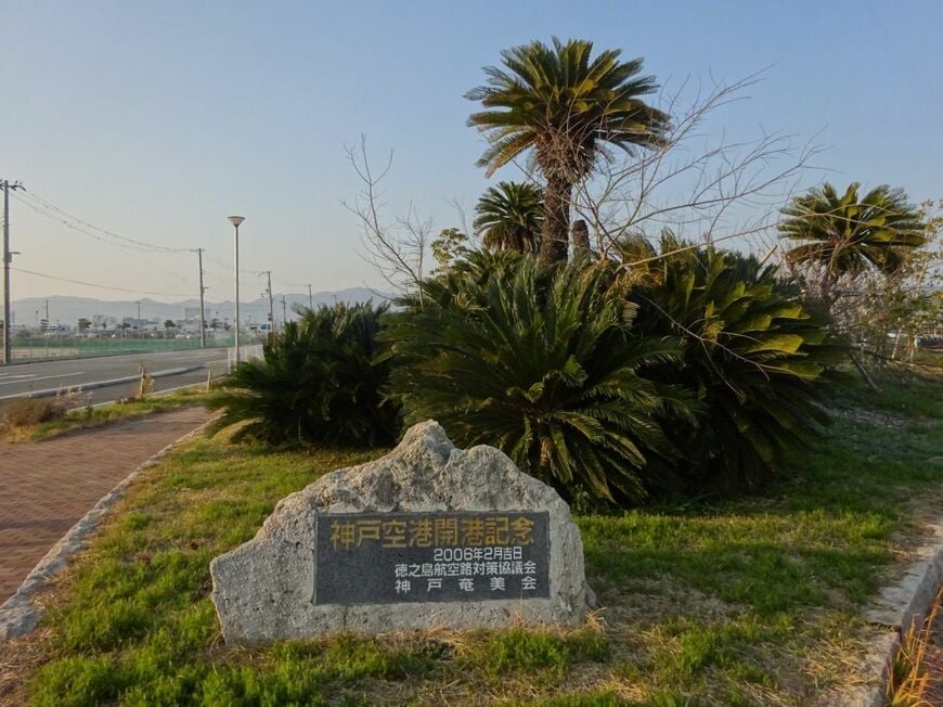 2006年2月、開港記念に植えたソテツ（筆者撮影）