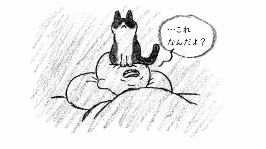 自分のファンと結婚した漫画家のジェスさんを待っていた、想像を超える日々（画像：『結婚するとは思いませんでした。』）