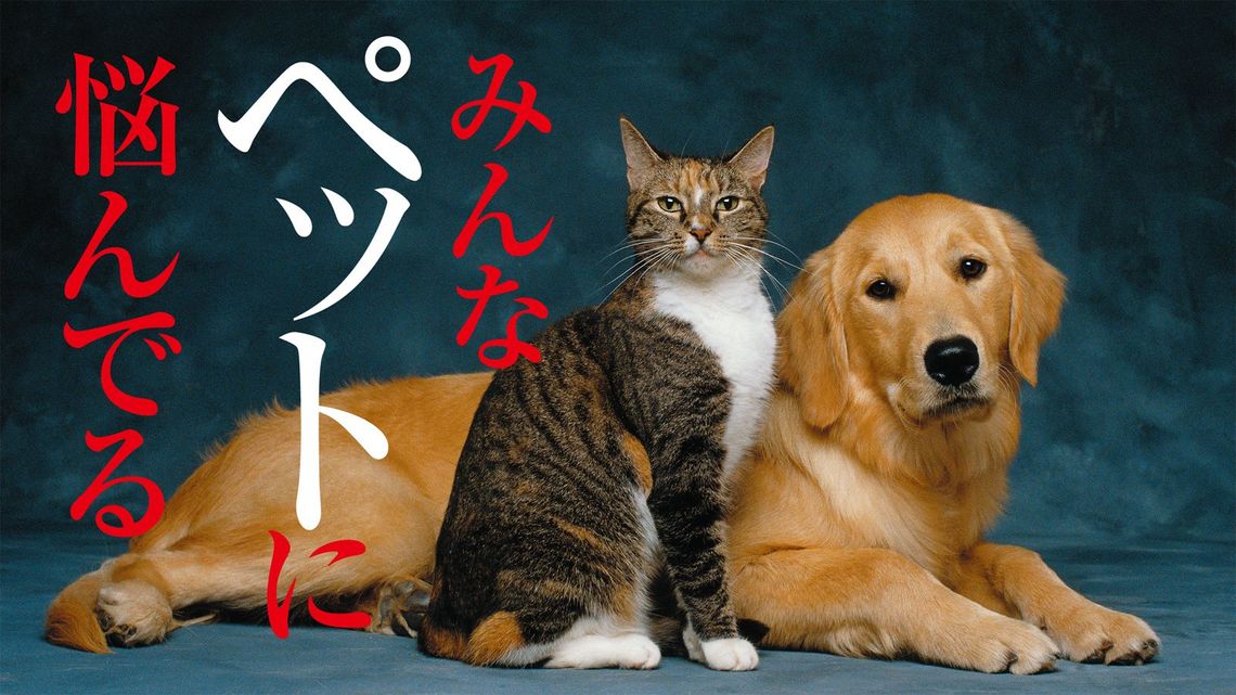 ペットの病気 は飼い主をここまで苦しめる 最新の週刊東洋経済 東洋経済オンライン 経済ニュースの新基準