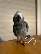 （写真提供：カマタさん）