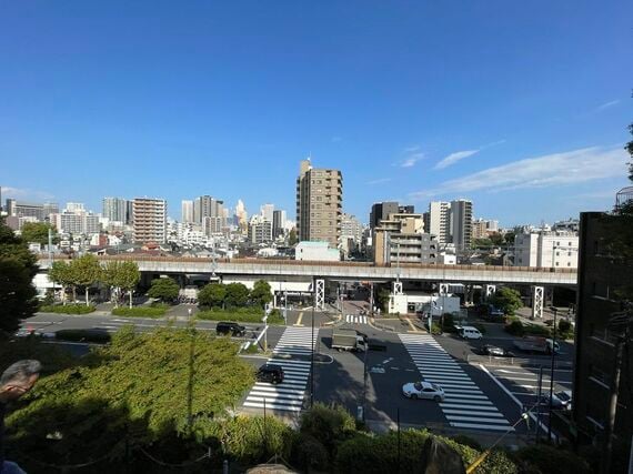 品川富士の頂上からの風景