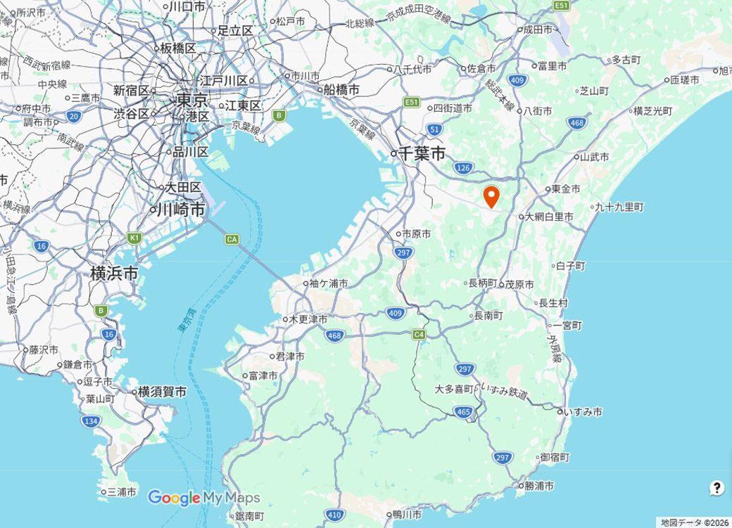 Googleマイマップ