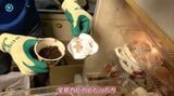 ゴミ屋敷