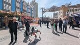 カメラを搭載したロボット犬