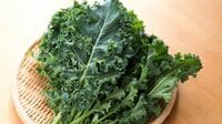 最強の野菜｢ケール｣40代が食べたほうがいい理由 どこで買う？炒めてもいい？素朴な疑問に回答