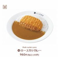 ｢カツカレー指数｣で適正為替水準を分析すると1ドルはわずか62円18銭…｢ビッグマック指数｣の場合は1ドル=80円30銭