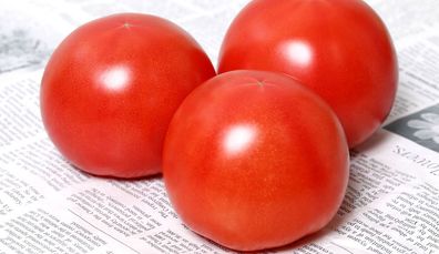 Who Makes the Seeds of Vegetables You Eat? 