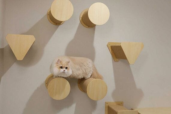 猫の年齢や体力に応じてレイアウトを変更できる