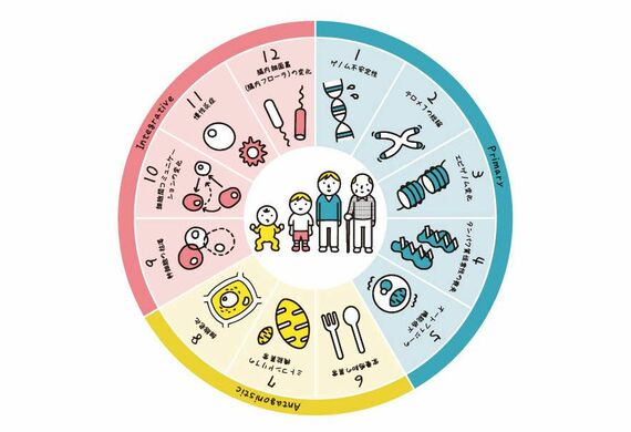 老化へのアプローチ