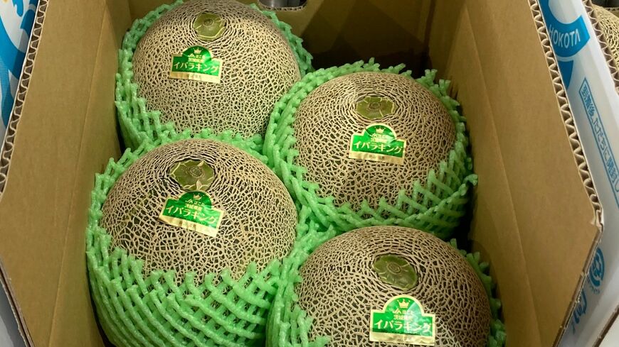 メロンで全国トップ、茨城県鉾田市で聞いた「最高の食べ方」とは？（写真：筆者撮影）