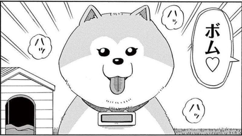 愛犬を捨てたくなった男 を襲った本当の悲劇 機械仕掛けの愛 東洋経済オンライン 社会をよくする経済ニュース 愛犬を捨てたくなった男 を襲った本当の悲劇 機械仕掛けの愛 東洋経済オンライン 社会をよくする経済ニュース