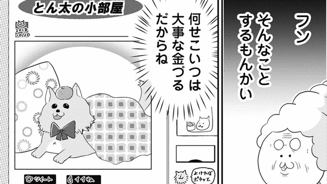 23歳まで生きた犬 が嫌われ者の主に残したもの 漫画 東洋経済オンライン 社会をよくする経済ニュース