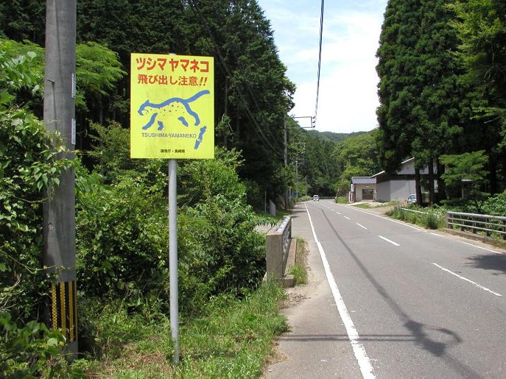 島内各地に設置されているヤマネコの飛び出しに注意の看板①（写真：環境省対馬野生生物保護センター提供）