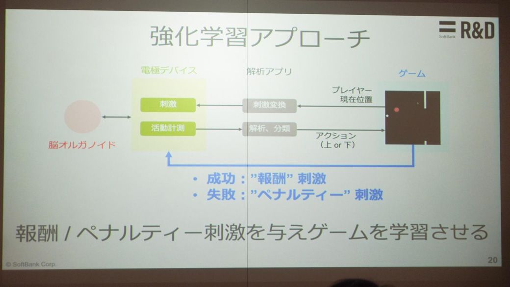 報酬刺激とペナルティ刺激を与えて簡単なゲームを解かせたところ、20分学習させた時点で成功率が1.5倍になった（筆者撮影）