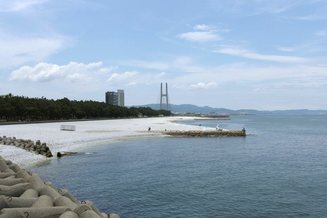 東洋経済の写真特集、新たな視点で日本経済を読み解く