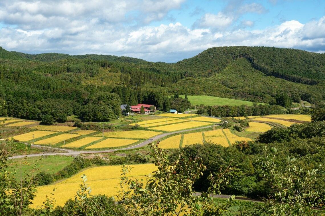 岩手県一関市の里池里山の風景 （写真：佐藤良平氏）