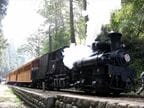阿里山森林鉄道、神木駅のスイッチバック