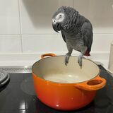 （写真提供：カマタさん）