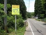 島内各地に設置されているヤマネコの飛び出しに注意の看板①（写真：環境省対馬野生生物保護センター提供）