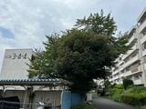団地