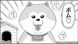 ｢愛犬を捨てたくなった男｣を襲った本当の悲劇
